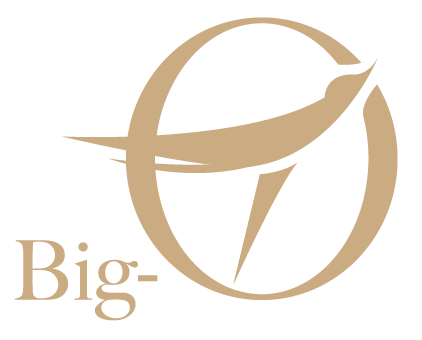 Big-O 大鷗摩飛